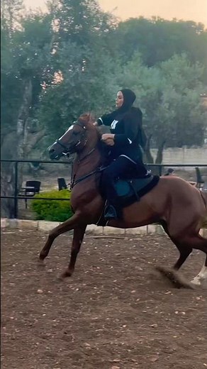 Girl & Horse Speed 🐎🔥 | Incredible Horse Riding