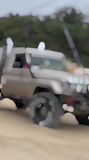 Taylor Cook on TikTok