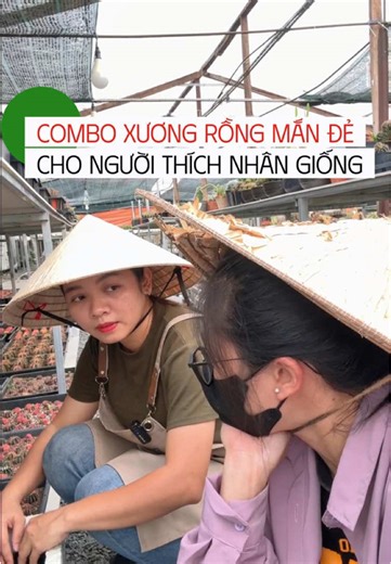 Kỹ Thuật Nhân Giống Xương Rồng Hiệu Quả