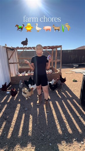 Farm Chores & Animal Fun: A Morning Routine