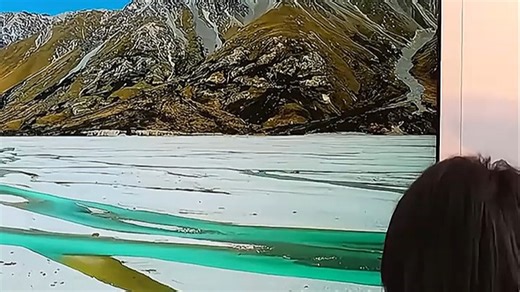 TCL电视，时尚体验，流畅随心。搭载灵控语音系统，操作更便捷；4K超清画质搭配MEMC运动补偿，观影更沉浸；支持多屏互联，轻松投屏，畅享大屏娱乐。无论是追剧、观