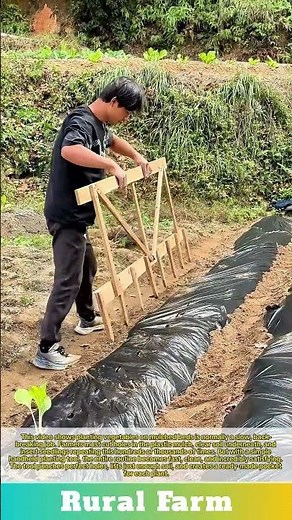 Simple Tool Saves HOURS Planting Vegetables Through Plastic Mulch: Easy Way to Plant on Mulched Beds