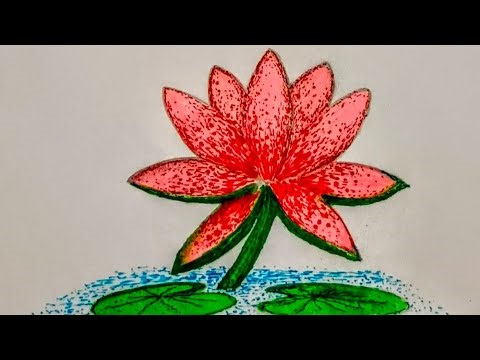 How to draw Water Lily flower Step by Step easy