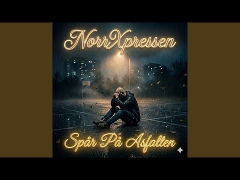 Spår På Asfalten (DJ Moonshine Remix)