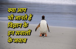 General Science Questions: क्या आप भी जानते हैं विज्ञान से जुड़े इन सवालों के जवाब