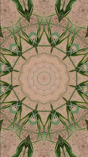 Can You Solve These Crazy Patterns?