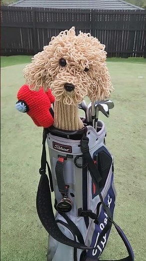 Poodle Golf Diver Headcover Crochet Pattern