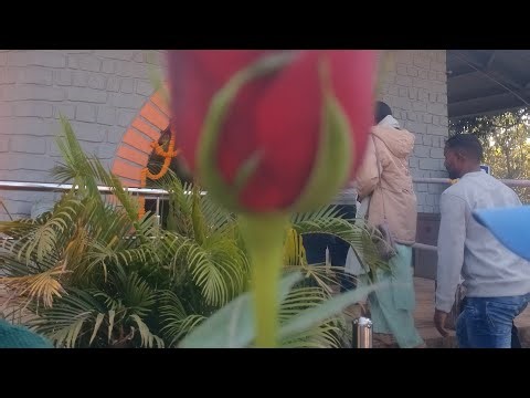 Bhavna is live! nice live good morning friends