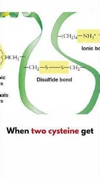 Why Primary Structure Matters in Enzymes | IAL Biology