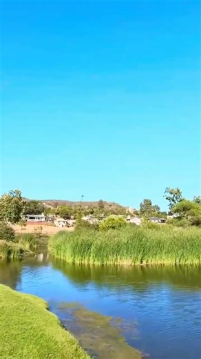 Peaceful View from the Bridge at Santee Lakes