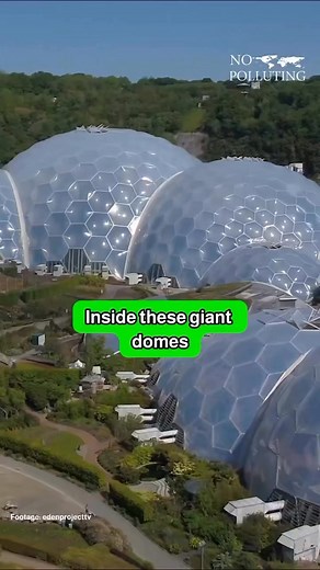 4.1K views · 83 reactions | The Eden Project is a world-renowned...