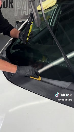 Restore Faded Plastic Trim with Ultimate Black Restorer