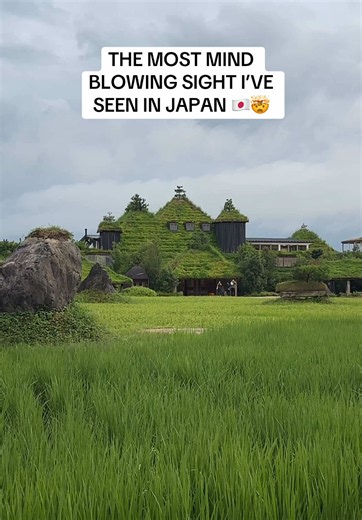 La Collina Lake Biwa: Most Mind-Blowing Sight in Japan