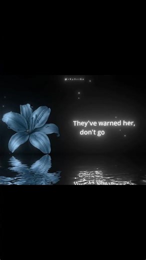 Lily - by Alan Walker | lyrics | fyp | viral | explore | foryou | #edit #song #music