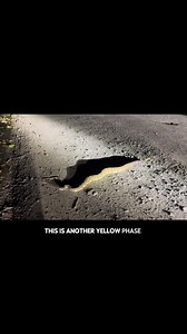 Night Hunting Rattlesnakes 🐍 Part 4 | Tails and Scales