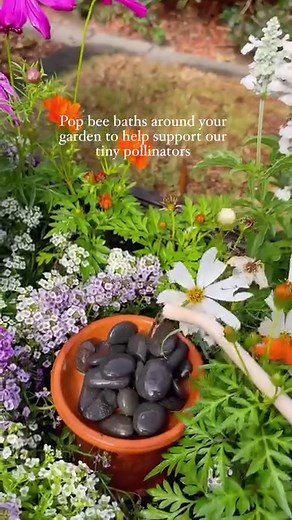 21M views · 263K reactions | It’s been a hot summer, so don’t forget to make little bee baths for your garden. Use a shallow dish, I popped a small planter base on top of a pot. Fill with rocks and/or sticks for them to safely land without fear of drowning. Top it up every day and give it a clean once a week #beebath #forthebees #pollinatorgarden #beegarden #flowerpatch | The Green Hub | Facebook
