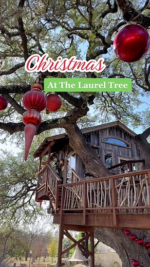 The Laurel Tree in Utopia, Texas is such a unique gourmet dining experience.
