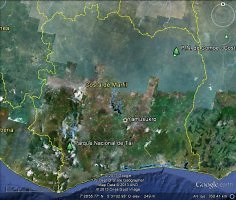 Parque Nacional de Taï ✏️ Naturaleza-Costa de Marfil