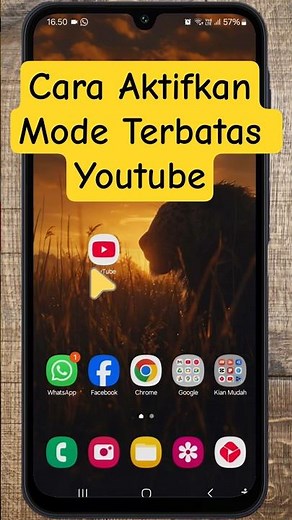 How to Activate Restricted Mode in the YouTube Application #activateyoutuberestrictedmode #restri...