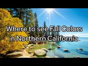 Where to See Fall Colors in Northern California