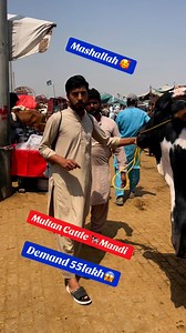 33K views · 1.9K reactions | Multan Cattle Mandi | Universal Topic | Facebook