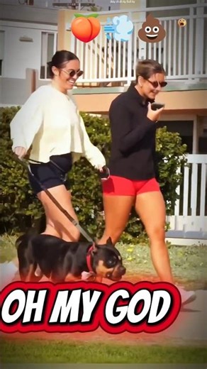 viral Fart prank by ‎⁨@GilstrapTV⁩ ‎⁨@gilstrap⁩ || Farty party || tiktok new challenge #viral