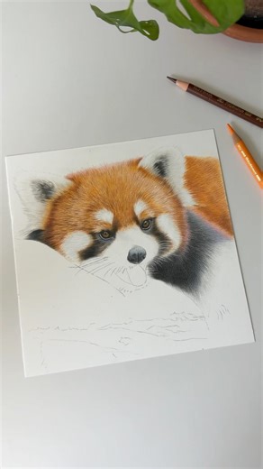 Making complex subjects simple ✍🏼🤍