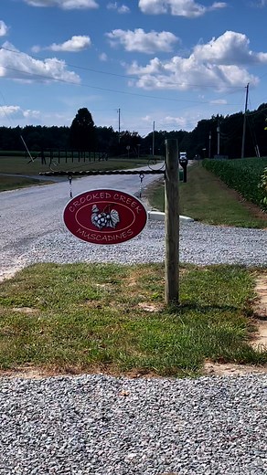 The merry muscadine has found a new friend! 🍇🍇PYO grapes open weekends Friday 12-5pm, Sat & Sun 10am - 5pm. 🍇🍇 #pickyourown #muscadines #muscadinegrapes #farming #Vineyard | Crooked Creek Muscadines