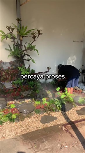 Nature Scape (@nature.scape_)’s videos with original sound - MD Music - MDMusic_ID