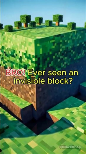 Invisible Block Trick