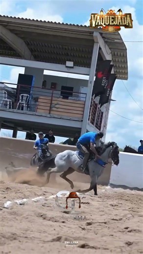 PRINCE SPARTK, ridden by Roxinho | CHAMPIONS OF THE DERBY CATEGORY.