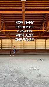 350K views · 6K reactions | Horse exercises with just 1 ground pole!! Please, if you need help, contact your trainer! ❤️ | Double Z Farm | Facebook