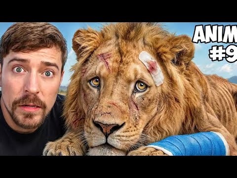 I saved 1,000 of animals life!