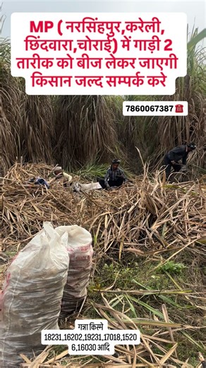 Simranjeet singh-kisan Adda on Instagram