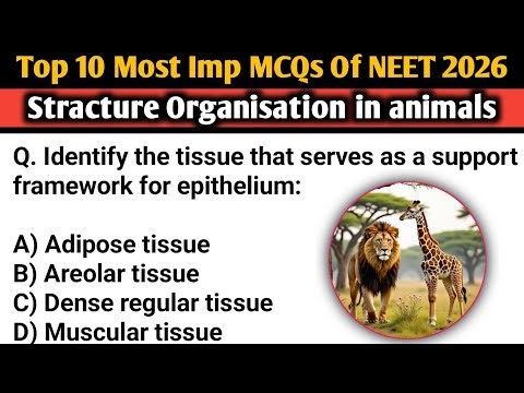 Neet 2026 : Here are 10 NCERT-based MCQs on Structural Organisation in Animals | Biology quizs