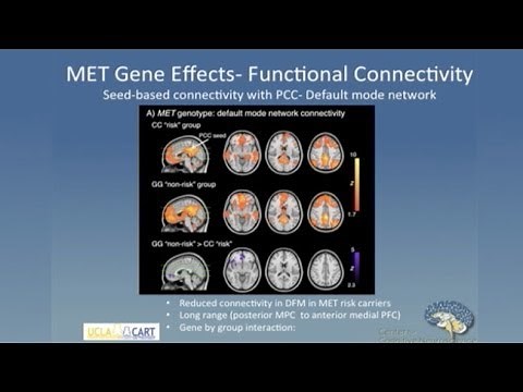 Linking Genes Brain and Behavior in Autism Spectrum Disorder