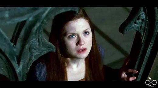 Die Gechichte von Ginny Weasley erklärt | Harry Potter Wissen