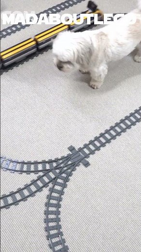 Lego Train Crashes.