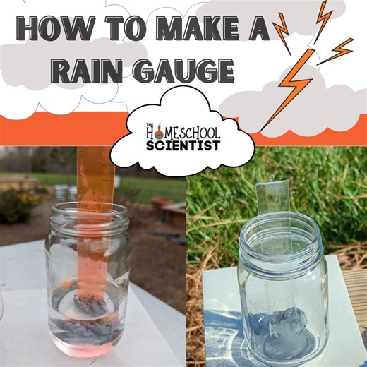 13 reactions · 14 shares | How to make a rain gauge with 4 simple items. This design is sturdy. Also, grab our free rainfall chart. https://thehomeschoolscientist.com/how-to-make-a-rain-gauge/ | The Homeschool Scientist | Facebook