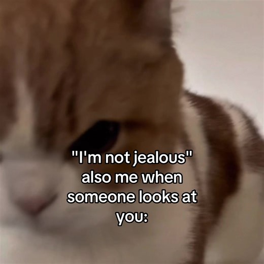 "I'm not jealous" also me when someone looks at you:😳❤️‍🩹 #catsoftik...
