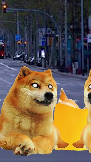 Guía de Supervivencia: Cheems en el Apocalipsis Zombie