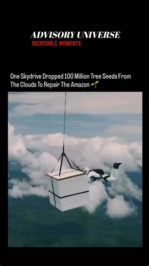 ADVISORY UNIVERSE on Instagram: "In an incredible environmental mission, Brazilian skydiver Luigi Cani released 100 million seeds from 27 native tree species over a deforested area of the Amazon. Jumping from 6,500 feet at 300 km/h, he reached the seed box mid-air and ensured their even distribution. #advisoryuniverse #amazonforest #trending #nature #viral"