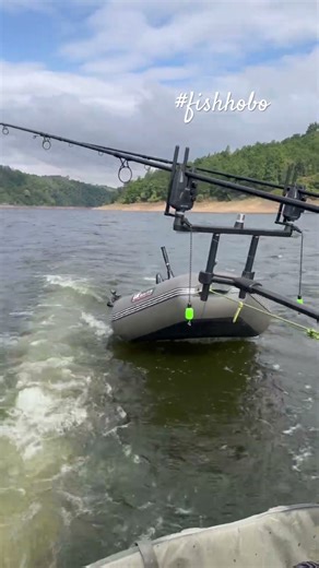 Orlík s ‪@Tobikrybar‬ #fishhobo #shorts #shorsfeed