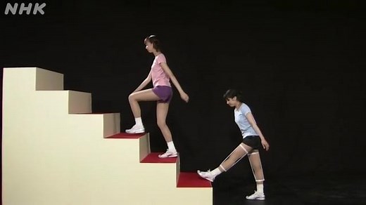 骨、関節、筋肉のはたらきは？ | NHK for School