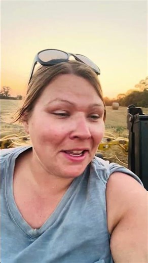 Open cab raking in the hay field! #mahindra