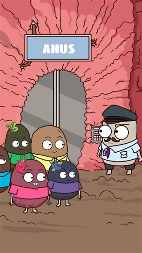 palak♥️ on Instagram: "Why Your Poop Changes Color: The Rainbow Poop Guide . Stool color reflects bile, transit time, and foods. Brown is normal; green often follows rapid transit or leafy greens; yellow suggests fat malabsorption; black may indicate upper GI bleeding or iron; red can be beets-or lower GI bleeding; pale/clay hints bile duct issues. Solutions: review recent foods, meds(iron, bismuth), and symptoms. Hydrate, increase fiber for regularity, and monitor for pain or fever. Seek care u