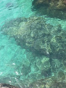 Ryan Mercer - RM Nutrition on Reels