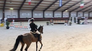 Hello M’Lady 😍 | Scott Brash