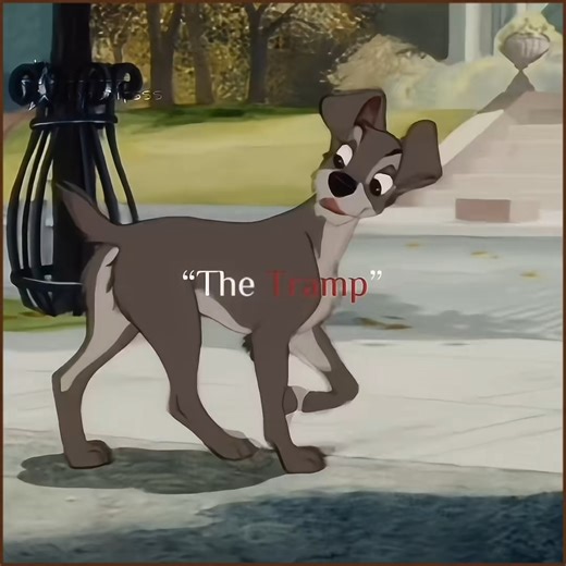 Lady and the Tramp Movie Fanatics 李 on Instagram: " Reel + BIO! Courtesy of: @lady.editsss on tik.tok ---------------------- #ladyandthetramp #disney #disneydogs #lady #disneyworld #disneyland #disneypins #dog #disneygram #waltdisney #disneymerch #tramp #disneyfashion #disneylifestylers #disneyfinds #disneymerchandise #animation #loungefly #disneybag #dressedindisney #disneybags #disneybackpack #loungeflydisney #loungeflycollector #loungeflybackpack"