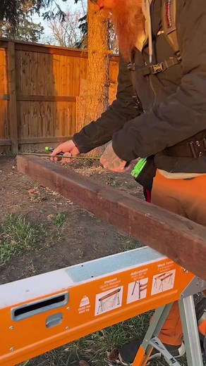 Brand New RIDGID Rear Handle Saw Review